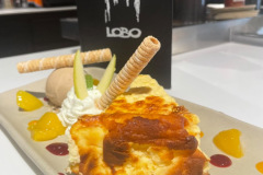 lobo-donosti-1
